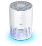 TOPPIN Air Purifier