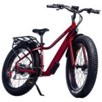 Ebze F48 500W Electric Fat Tire Bike with up to 60km Battery Range