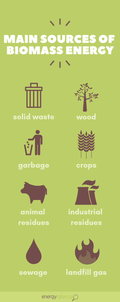 biomass energy sources how does biomass power works infographic edmonton calgary alberta