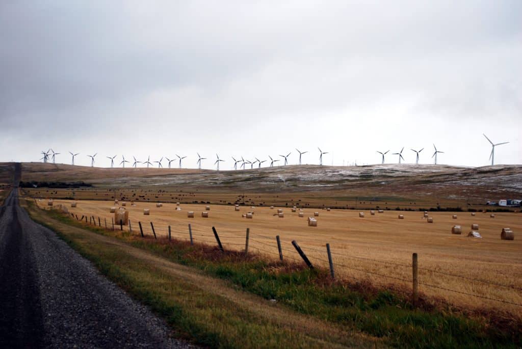 edmonton calgary alberta wind farms wind power energy rates electricity prices