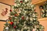 Looking to be more energy efficienct? You need energy efficient Christmas tree lights for your decorations this season.