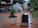 The Best Humidifiers