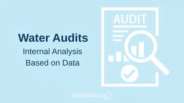 water audits