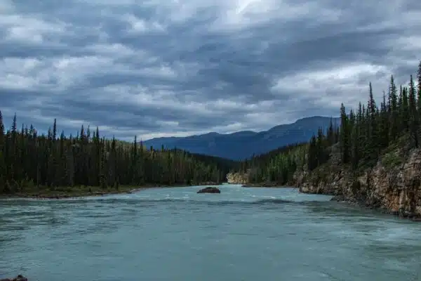 water costs for business alberta